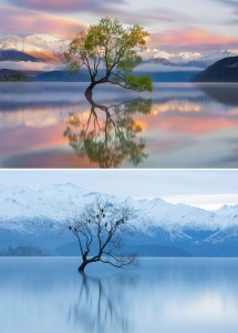Jezero Wanaka
