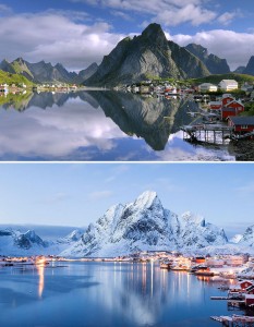 Reine