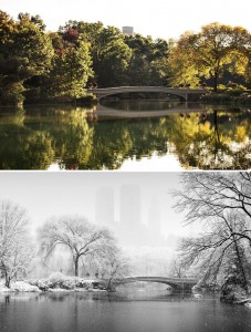 Central Park